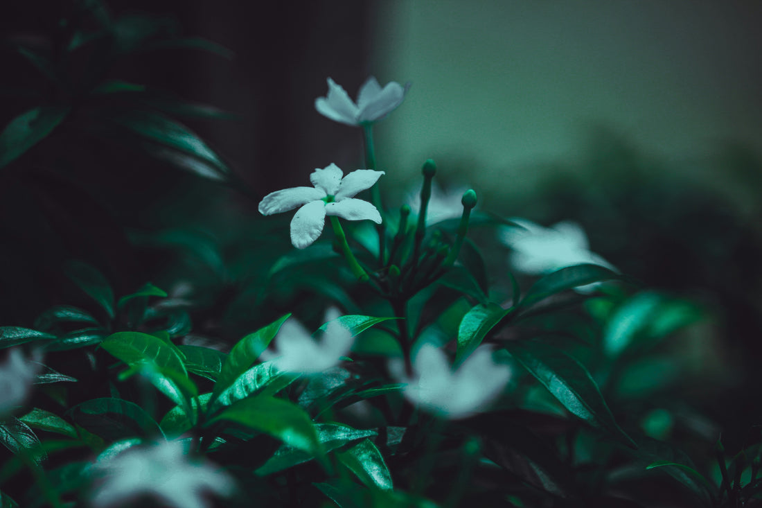 How LED Light Therapy Helps Reduce Wrinkles and Boost Skin Glow